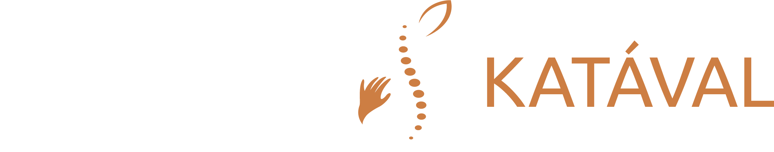 footer-logo